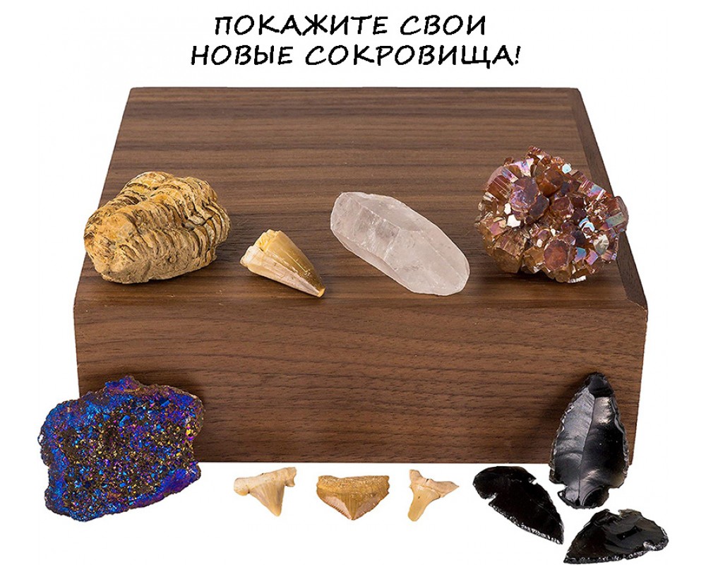 Образовательный набор камней, минералов и доисторических окаменелостей  Jumbo Rock Collection National Geographic