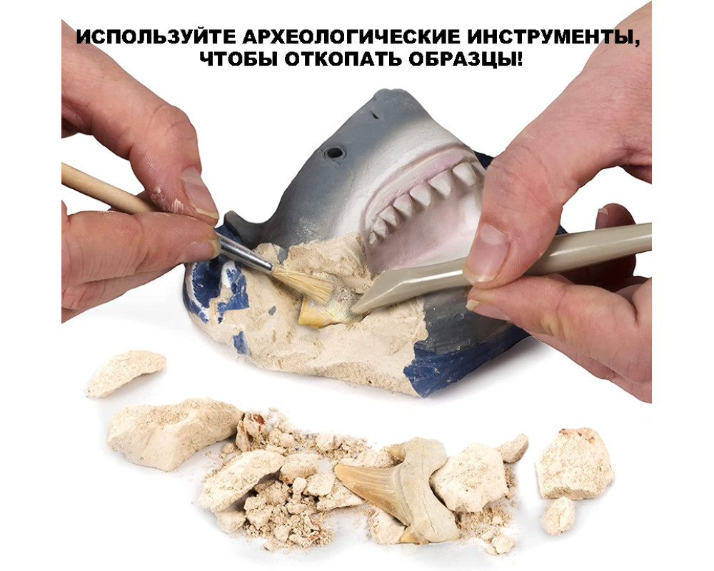 Научный набор Набор для раскопок зубов акулы Shark Tooth National Geographic