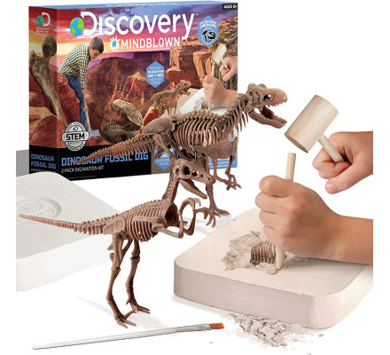 Научный набор археолога "Раскопки динозавров: Тираннозавр и Велоцираптор, 3-d модели" Discovery
