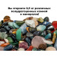 Большой коллекционный набор горных пород и минералов Kids Rock Collection National Geographic