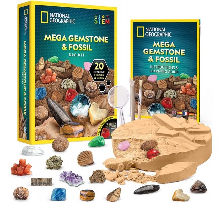 Научный набор Набор для раскопок доисторических окаменелостей, минералов и камней Mega Fossil and Gemstone Dig Kits