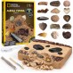 Научный набор Набор для раскопок доисторических окаменелостей, костей Динозавров и зубов Акулы