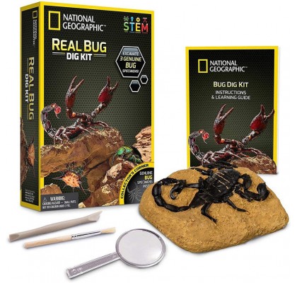 Научный набор Набор для раскопок насекомых Real Bug Dig Kit