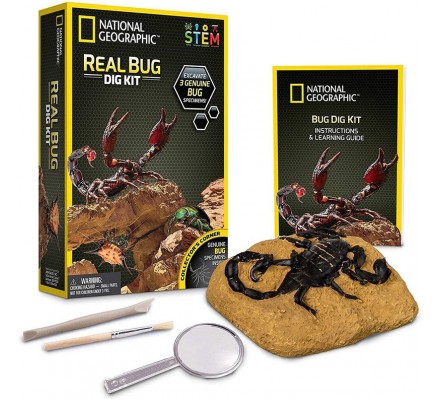 Научный набор Набор для раскопок насекомых Real Bug Dig Kit