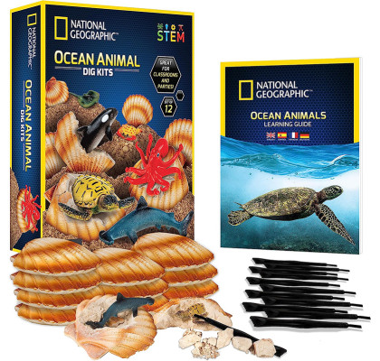 Научный набор Набор для раскопок морских обитателей Ocean Animal National Geographic