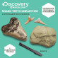 Научный набор Набор для раскопок зубов акулы Shark Teeth Discovery