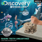 Научный набор Набор для раскопок зубов акулы Shark Teeth Discovery
