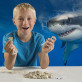 Научный набор Набор для раскопок зубов акулы Shark Tooth National Geographic