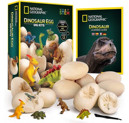 Научный набор Набор для раскопок яиц динозавров Dinosaur Dig Kit